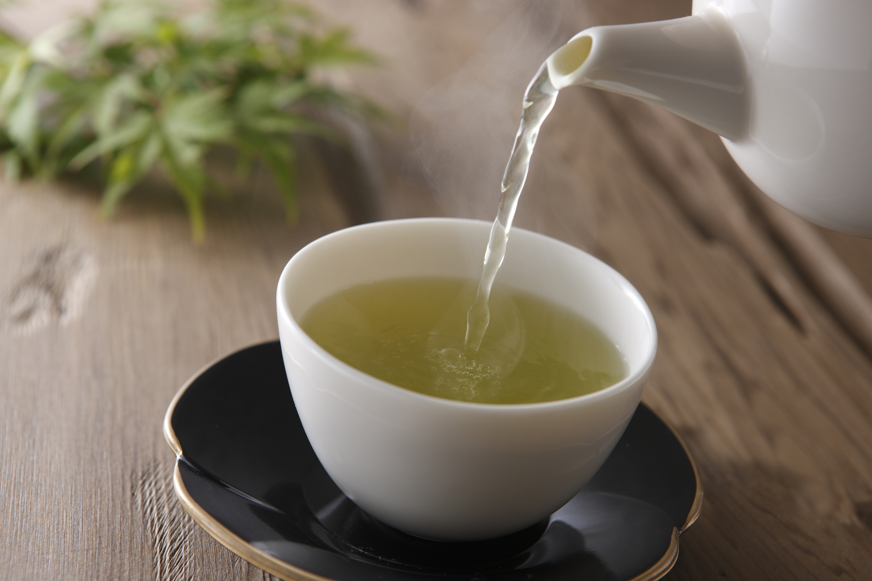Green Tea Compound Aids Tumor Suppressing Dna Repairing Protein News Events