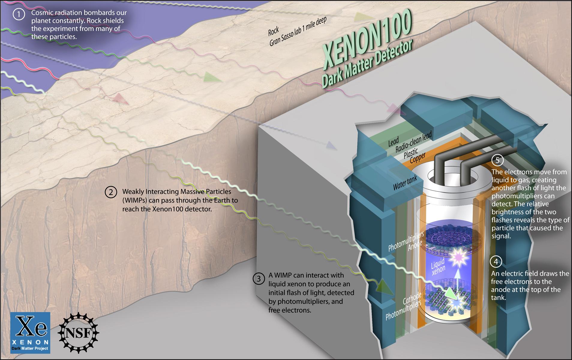 dark matter detection