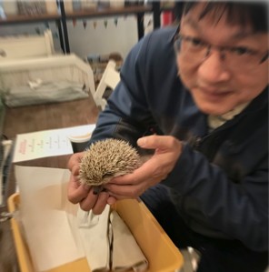 Chunyu Wang carefully holding a real live hedgehog