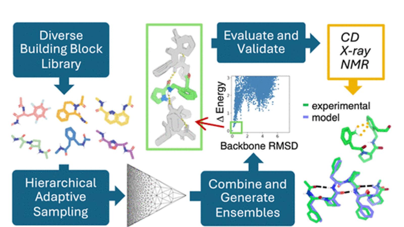 Here we describe a systematic approach to search through dipeptide combinations of 130 chemically diverse amino acids to identify those predicted to populate unique low-energy states.