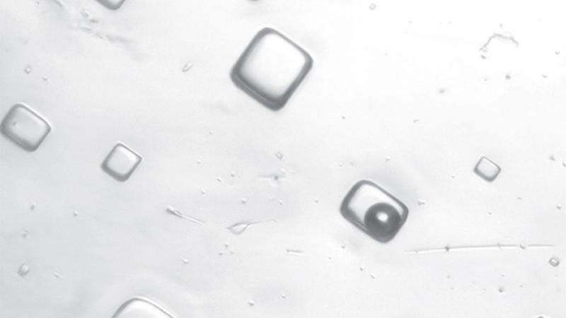 Fluid inclusions containing air bubbles in 1.4 billion-year-old halite