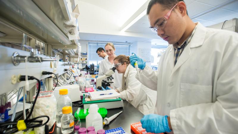 A group of individuals in lab coats work in a laboratory. One person pipettes liquid into an orange tray, while others focus on a microscope and notes. Various lab equipment and chemicals are visible on the counters. The environment is bright and organized.