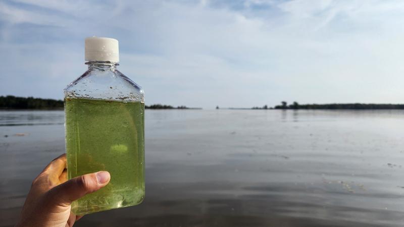 Photograph of a sample bottle full of green water from  the St. Louis River Estuary taken during a cyanobacteria bloom,  against the backdrop of a calm, expansive lake under a partly cloudy sky.