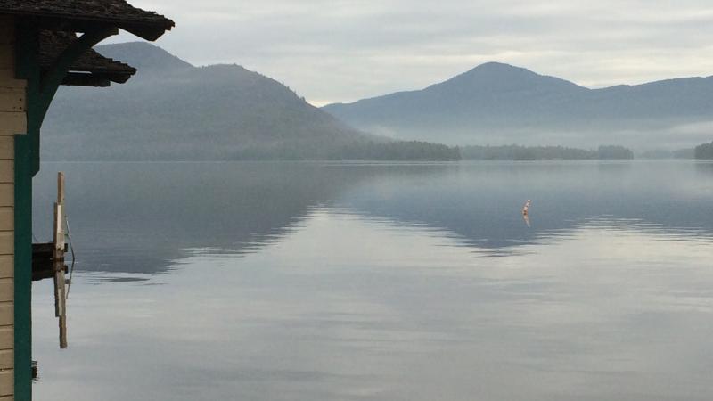 How Inland Waters 'Breathe' Carbon – And What it Means for Global