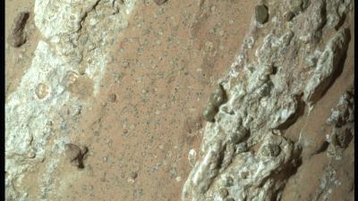 Close-up of Perseverance rock sample identified as containing potential biosignatures.