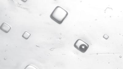 Fluid inclusions containing air bubbles in 1.4 billion-year-old halite