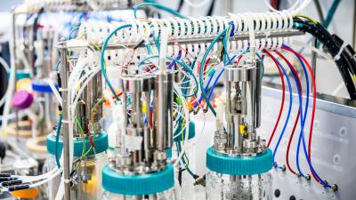 CBIS Secures $1 Million Federal Grant to Advance Biotechnology Research and Translation