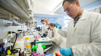 A group of individuals in lab coats work in a laboratory. One person pipettes liquid into an orange tray, while others focus on a microscope and notes. Various lab equipment and chemicals are visible on the counters. The environment is bright and organized.
